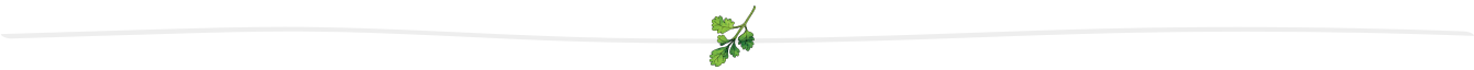 separator-light-parsley